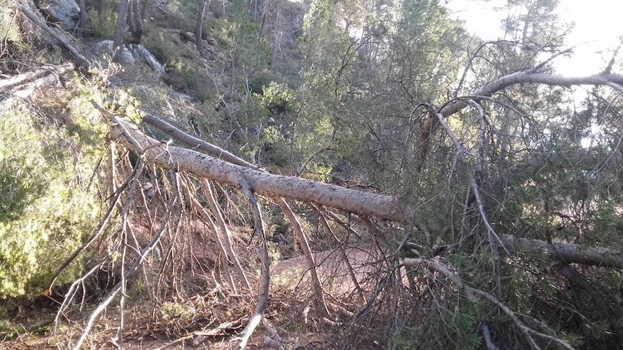 Situación límite en la reserva de Valdeserrillas