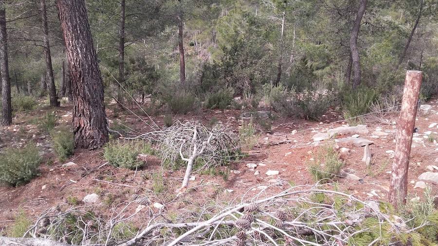 Situación límite en la reserva de Valdeserrillas