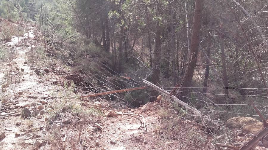 Situación límite en la reserva de Valdeserrillas