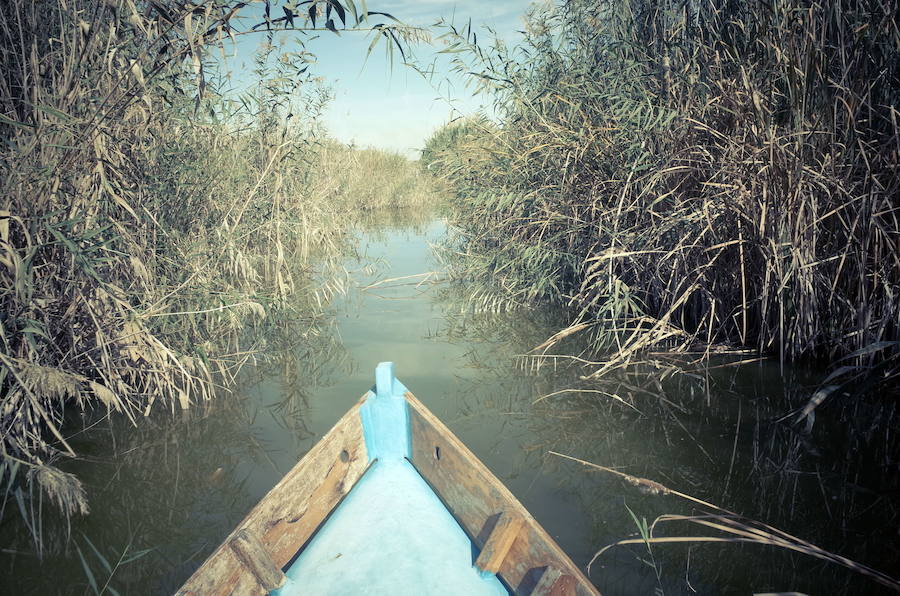 Albufera