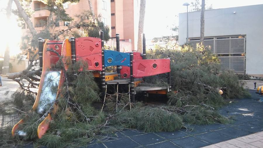 Árbol de grandes dimensiones caído sobre un parque infantil en Terramelar (Paterna).