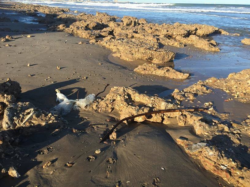 Fotos del estado de la playa de El Saler