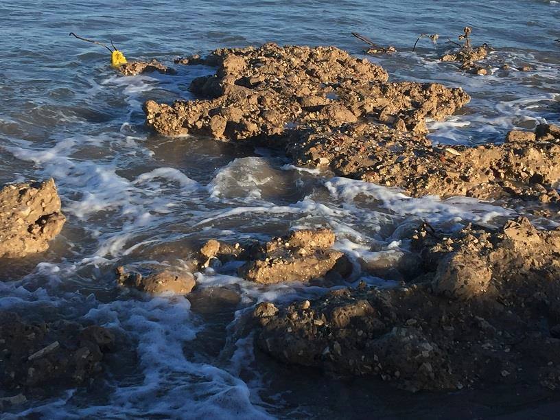 Fotos del estado de la playa de El Saler