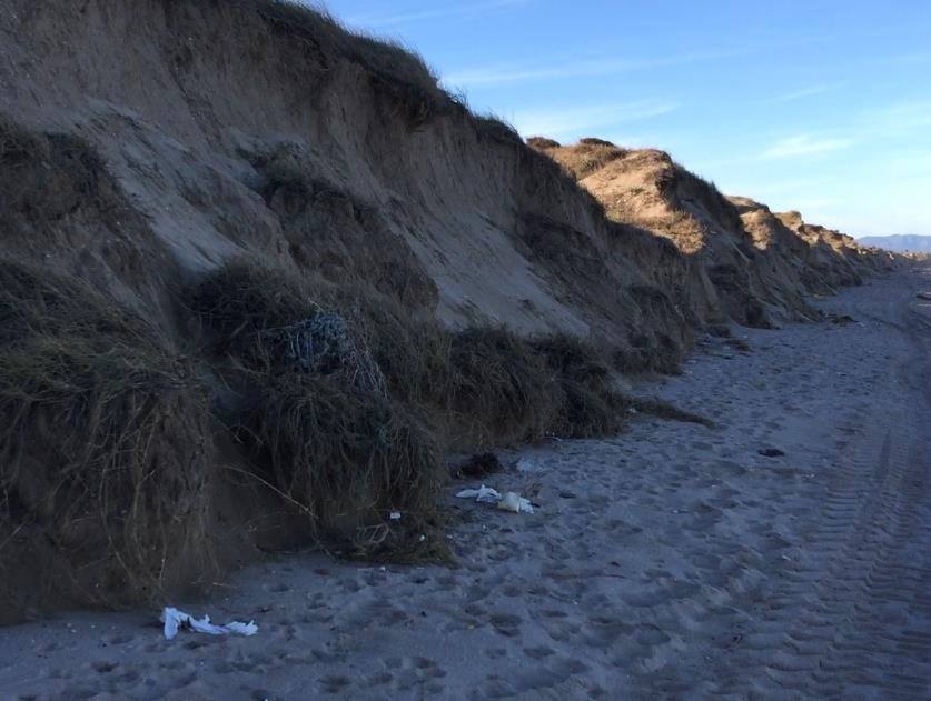 Fotos del estado de la playa de El Saler