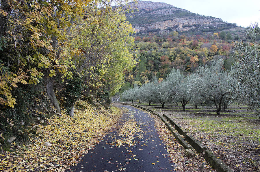 Cortes de Pallás