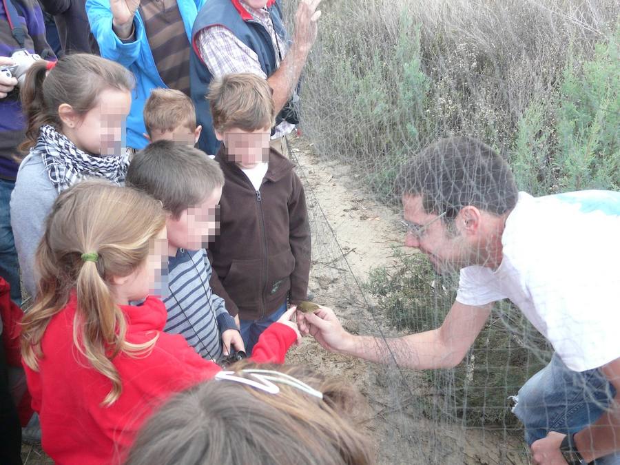 Fotos de escapadas para niños en Valencia