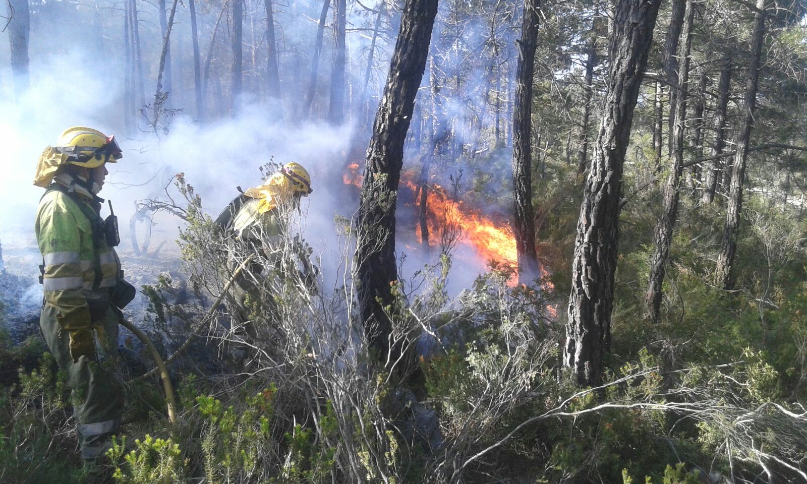 Fotos del incendio en Enguera