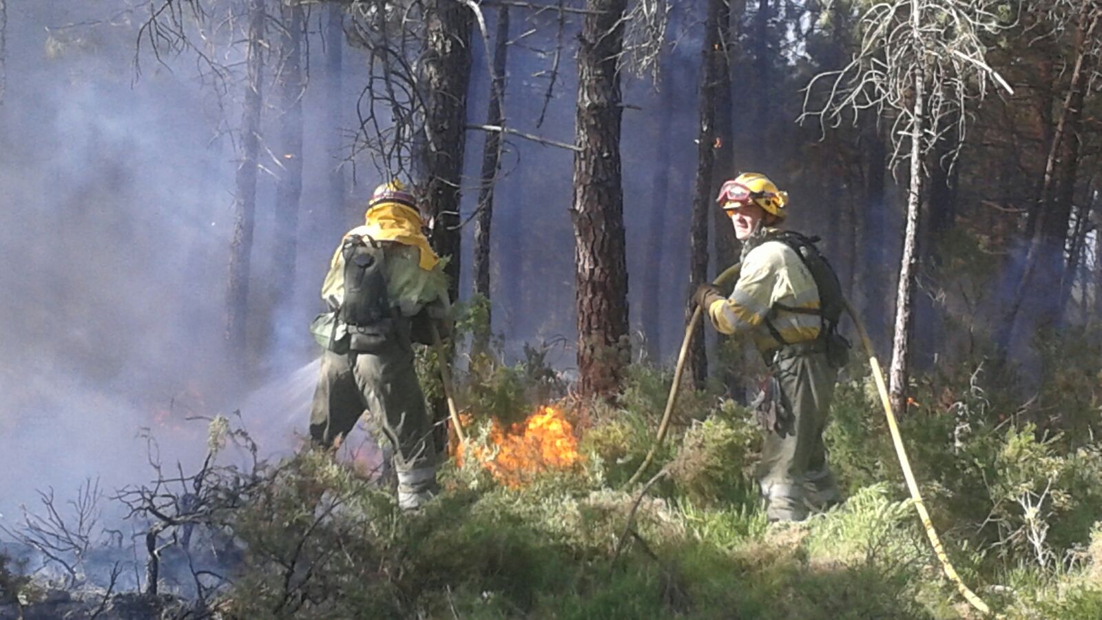 Fotos del incendio en Enguera
