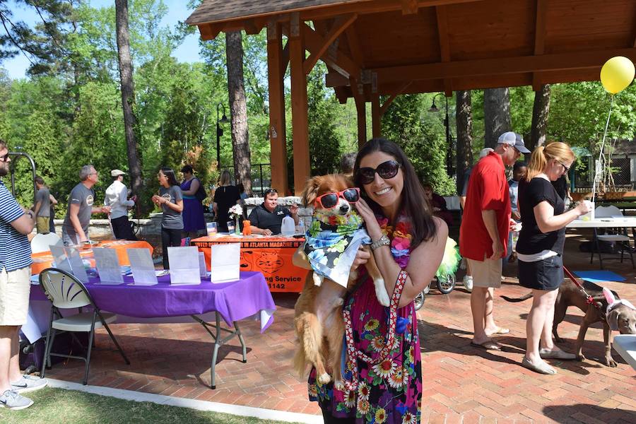 Fotos de los perros más graciosos del desfile anual de Pascua de Georgia