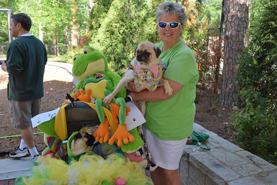 Fotos de los perros más graciosos del desfile anual de Pascua de Georgia