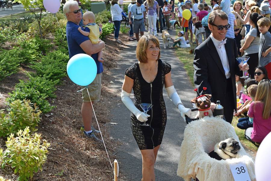 Fotos de los perros más graciosos del desfile anual de Pascua de Georgia