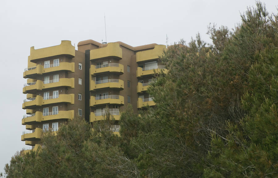 Fotos de la masa forestal en El Saler