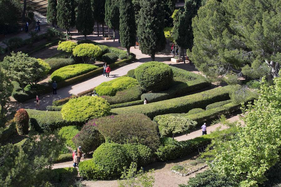 Fotos de los jardines del Palacio de Marivent