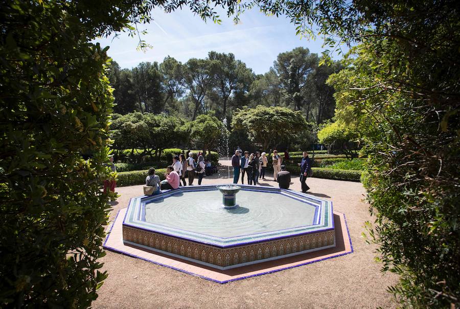 Fotos de los jardines del Palacio de Marivent