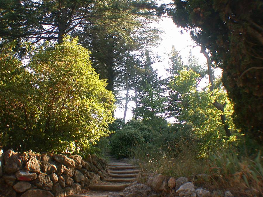 Parque Natural de la Font Roja. 