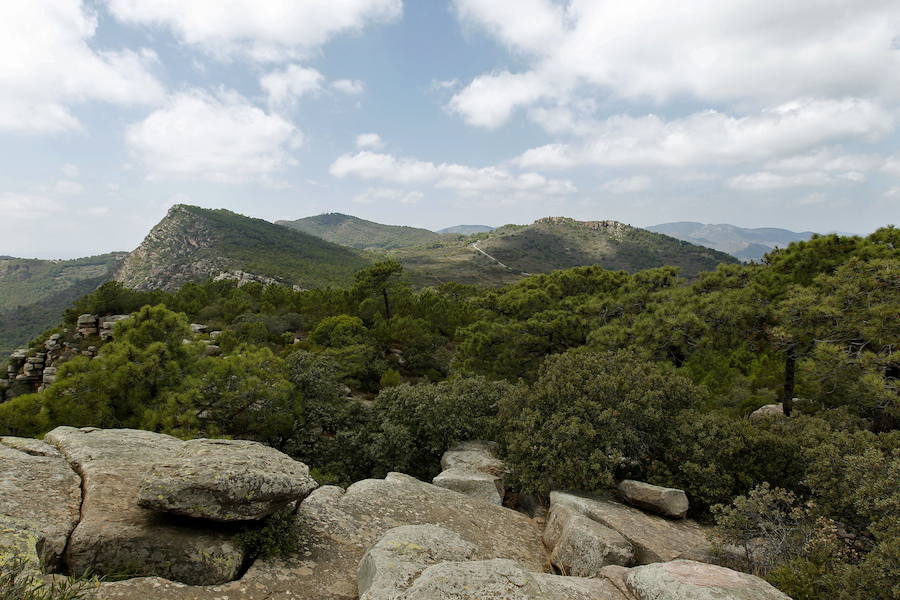 El Garbí en el Parque Natural de la Sierra Calderona. 