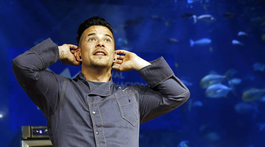 Fotos de &#039;showcooking&#039; con medusas en el Oceanogràfic de Valencia