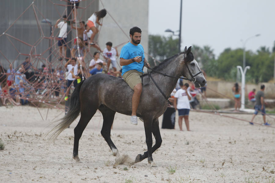 A galope a orillas de la playa de Pinedo