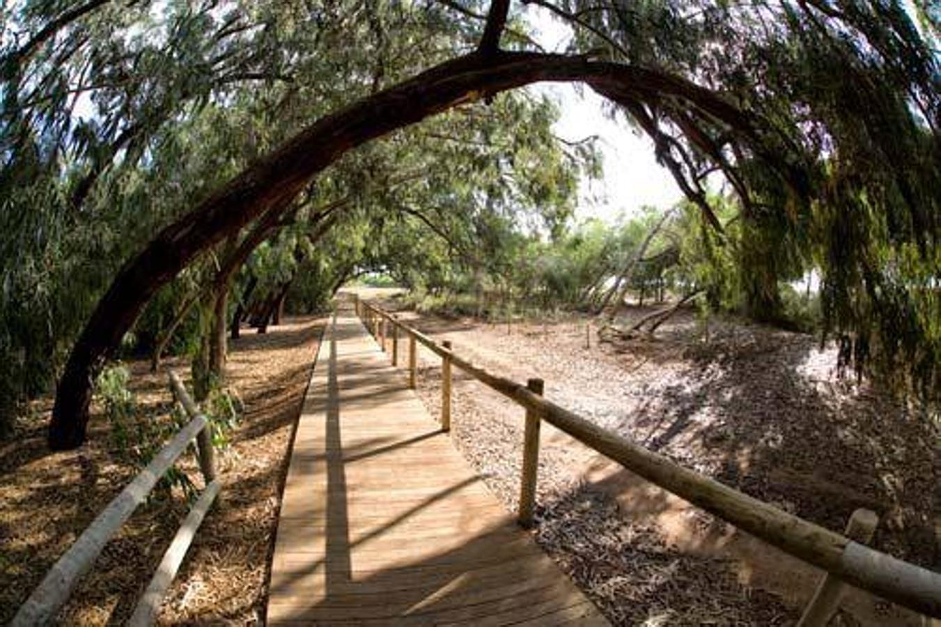 Fotos de sitios de la Comunitat Valenciana para ver lluvias de estrellas