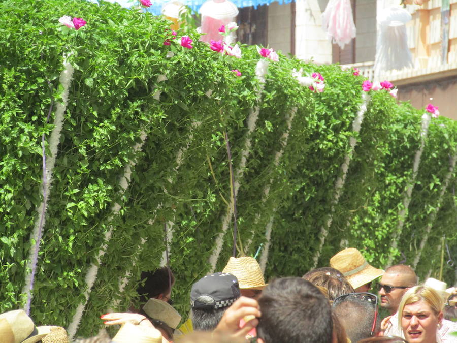 Fotos de la fiesta de les alfàbegues 2017 de Bétera