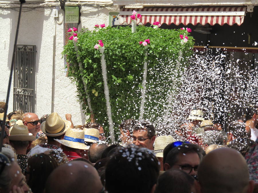 Fotos de la fiesta de les alfàbegues 2017 de Bétera