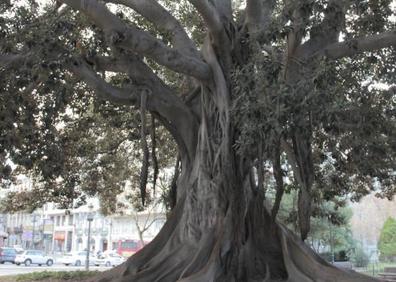 Imagen secundaria 1 - Detalle del Jardín de la Glorieta.