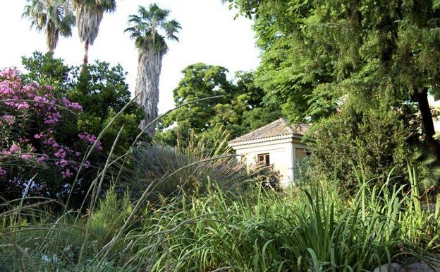 Imagen principal - Detalle del Jardín Botánico de la Universidad de Valencia.