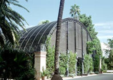 Imagen secundaria 1 - Detalle del Jardín Botánico de la Universidad de Valencia.