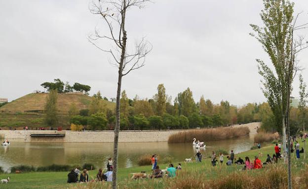 Imagen principal - Detalle del Parque de Cabecera de Valencia.