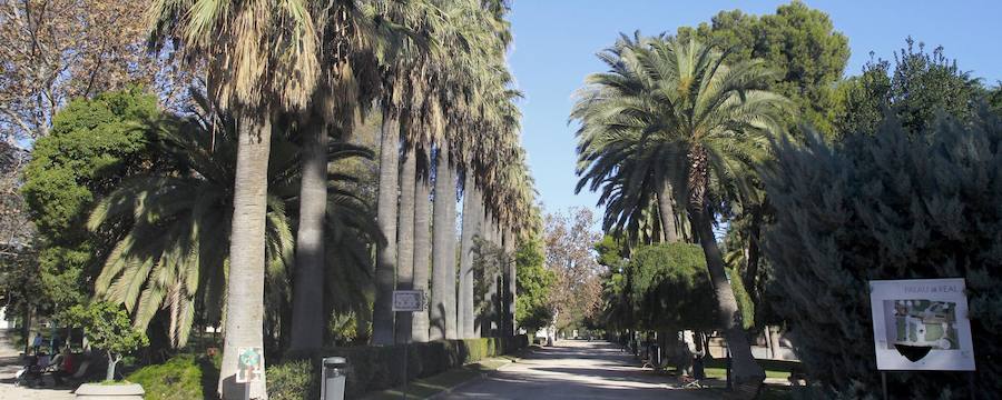 Jardines de Viveros.