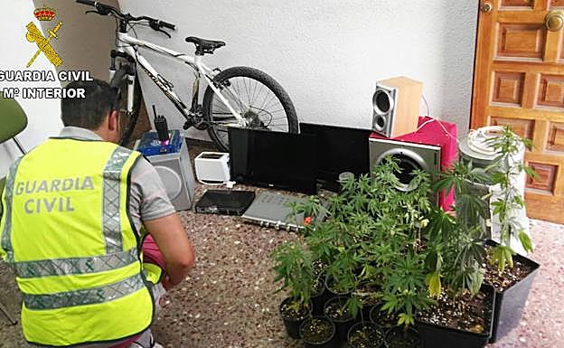 Un agente de la Guardia Civil examinando la incautación.