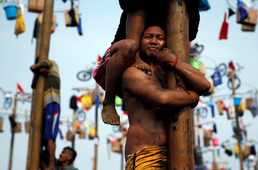 Tailanda celebra su Día de la Independencia de una manera muy peculiar: colocan en vertical los troncos talados de nogales que engrasan con aceite para dificultar la llegada a la cima en la que se encuentran varios premios. 