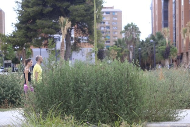 Unos vecinos observan el jardín. 