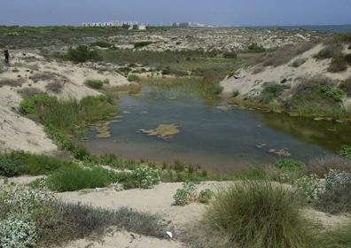 Imagen secundaria 1 - Ruta por las dunas del Dosser. 