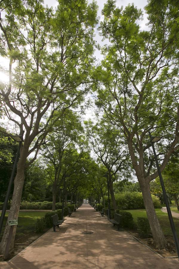 Fotos del parque de Polifilo