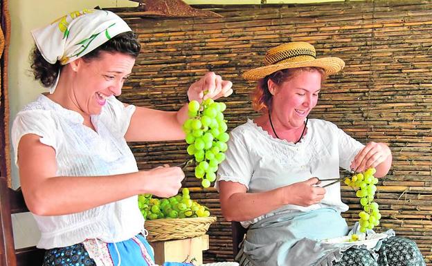 Dos actrices de Benissa representan cómo se ‘estisora’ la uva. 