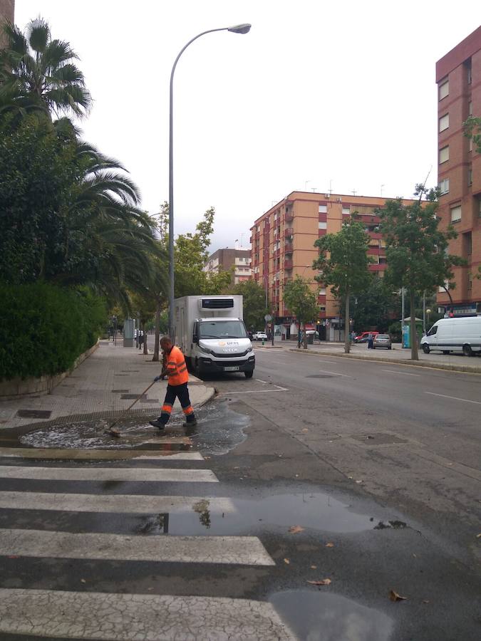 Semáforos averiados y un árbol caído en Valencia ciudad.