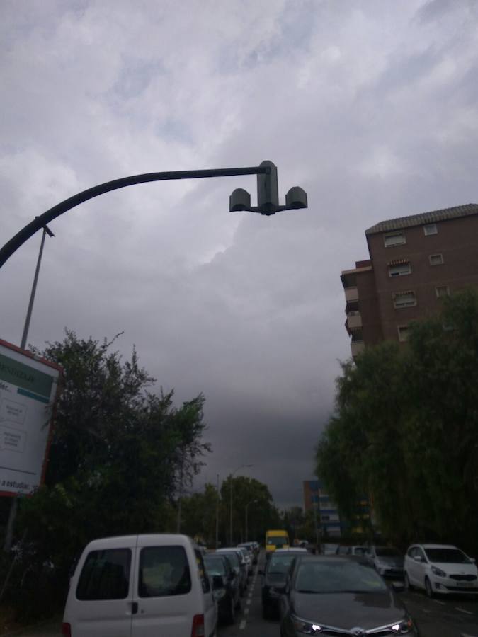 Semáforos averiados y un árbol caído en Valencia ciudad.