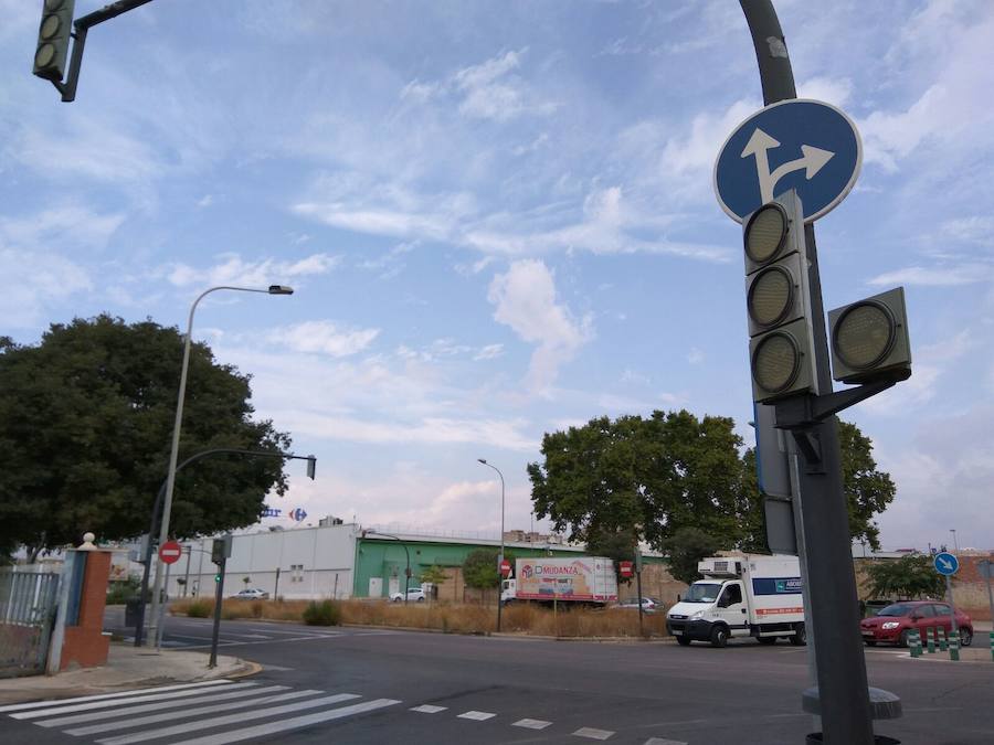 Semáforos averiados y un árbol caído en Valencia ciudad.