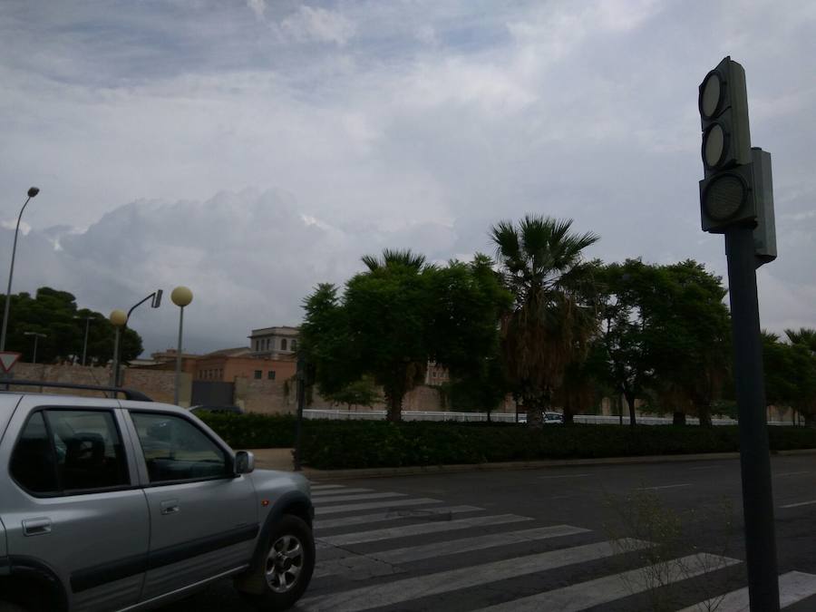 Semáforos averiados y un árbol caído en Valencia ciudad.