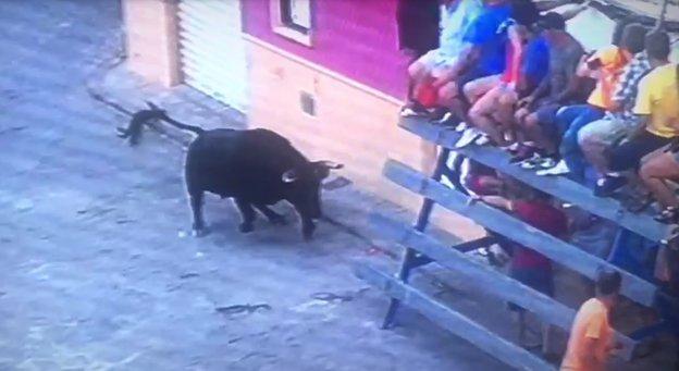 El toro corre hacia la barrera en la plaza de la Font. 