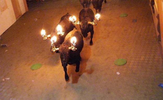 Toros embolados, en una imagen de archivo.