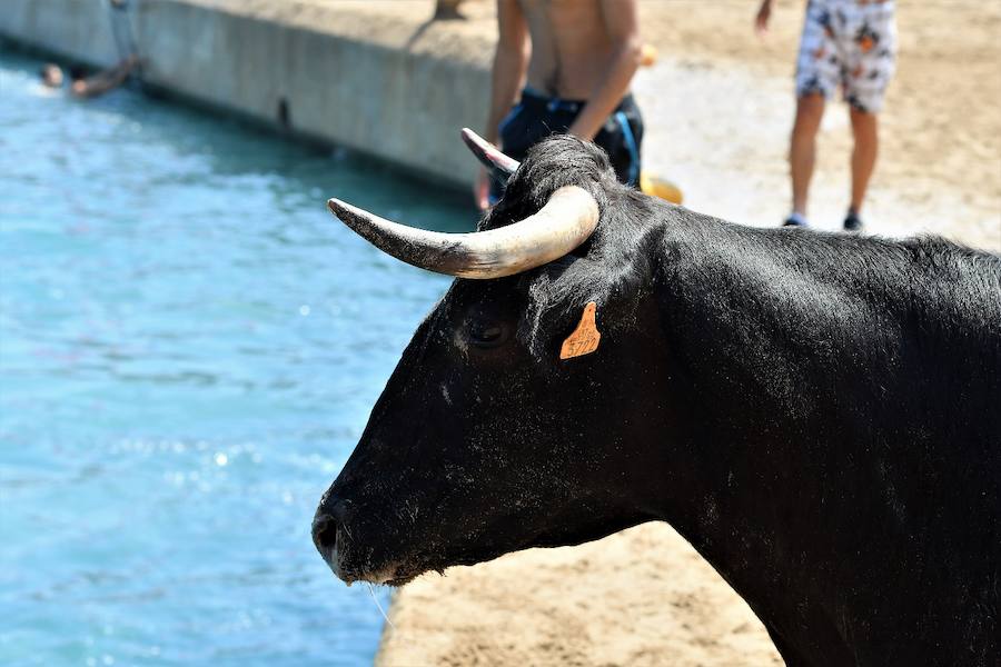 Fotos del último día de bous a la mar de Xàbia