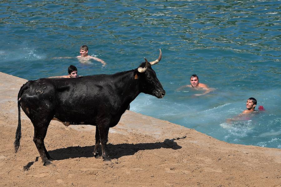 Fotos del último día de bous a la mar de Xàbia