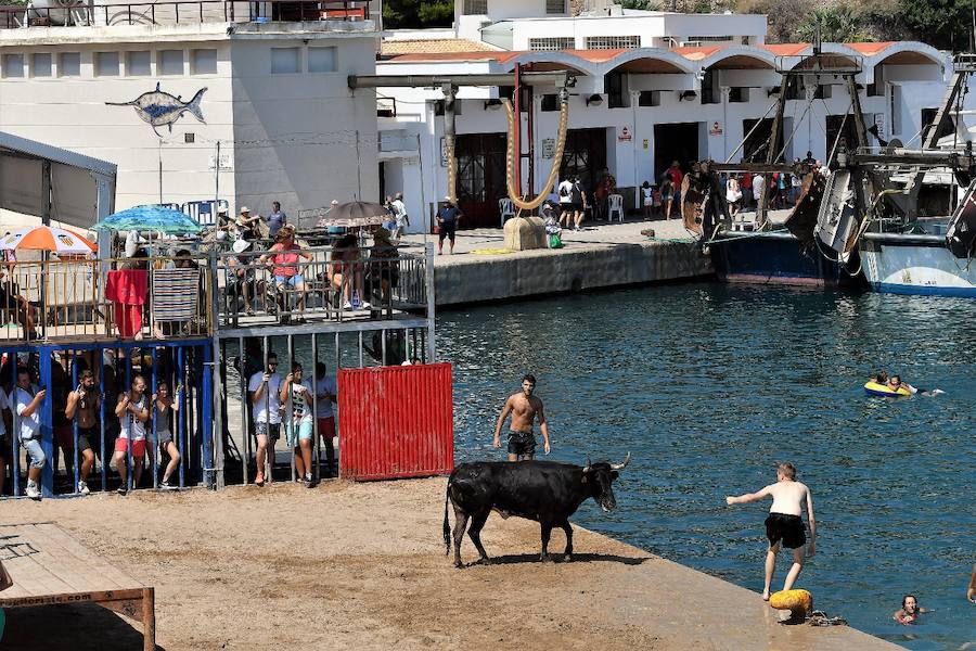 Fotos del último día de bous a la mar de Xàbia