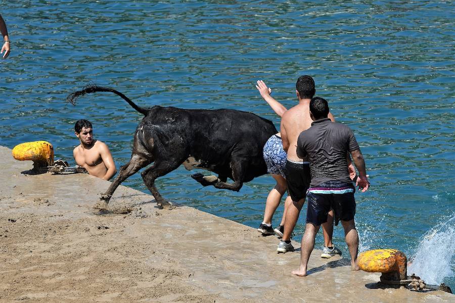 Fotos del último día de bous a la mar de Xàbia