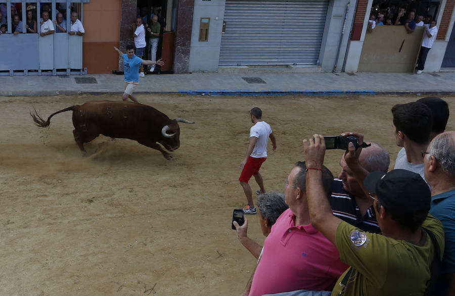 Fotos de la desencajonada de toros en Puçol