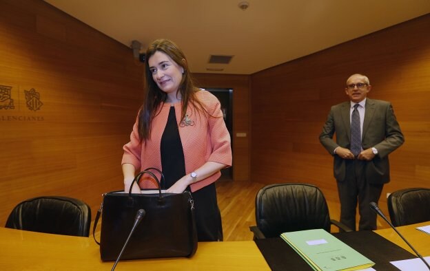 La consellera de Sanidad, Carmen Montón, en una comparecencia en Les Corts. 