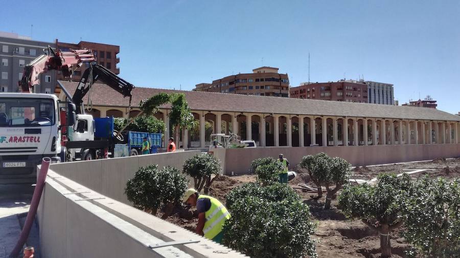 Fotos de la plantación de árboles de la zona Huerta-Jardín en el Parque Central de Valencia