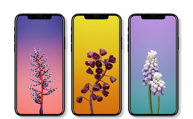 Gráfico | Compara todos los modelos de iPhone: del iPhone 2G al iPhone 8